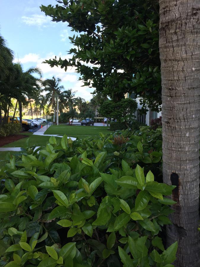 Ocean Reserve Str-01045 Miami Beach Buitenkant foto